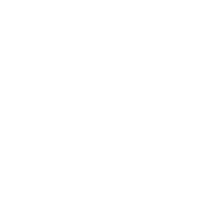 Perot1