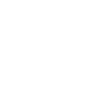 WienerStaatsoper1